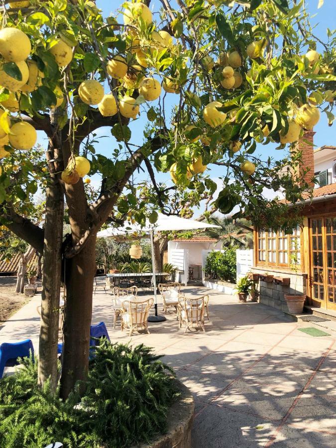 Bed and Breakfast Casa Lucia Сорренто Экстерьер фото
