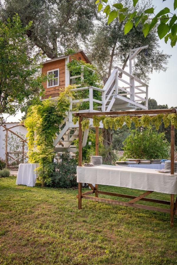 Bed and Breakfast Casa Lucia Сорренто Экстерьер фото